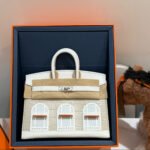 Herm&egrave;s Birkin 20 Silver Buckle Platinum Bag customization - Image 9