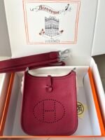 Hermes Evelyn 𝖬𝗂𝗇𝗂 17 Palladium Hardware -Top master