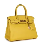 Hermes Birkin 30 Jaune de Naples Novillo Gold Hardware - Image 2