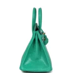 Hermes Birkin 25 Menthe Varanus Niloticus Lizard Gold Hardware - Image 3