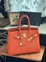 Herm&egrave;s Birkin 25-40 Orange Gold Buckle Custom - Image 6