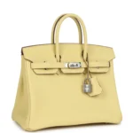 Hermes Birkin 25 Jaune Poussin Togo Palladium Hardware - Image 2