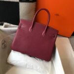 Hermes Birkin 25-35cm custom TOGO customization - Image 3