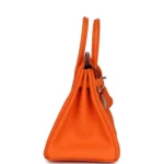 Hermes Birkin 25 Orange Minium Togo Palladium Hardware - Image 3