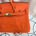 Hermes Birkin  25-30 TOGO customization - Image 5