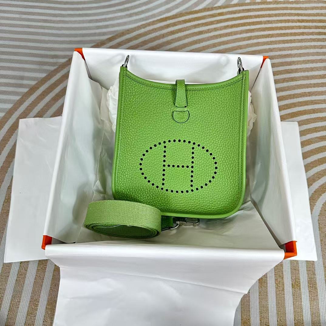429ECF84-BD2A-76DD-474B-14358984A76A.jpg Hermes Evelyn 16-29 Custom-made - Image 1