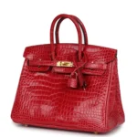 Hermes Birkin 25 Braise Shiny Porosus Crocodile Gold Hardware - Image 5