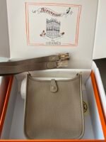 Hermes Evelyn 𝖬𝗂𝗇𝗂 17 Gold Hardware-Top master - Image 2