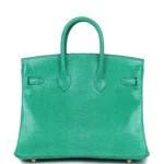 Hermes Birkin 25 Menthe Varanus Niloticus Lizard Gold Hardware - Image 4