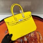 Hermes Birkin  25-30 TOGO - Image 2