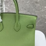 Hermes Birkin 25-35cm custom TOGO customization - Image 6