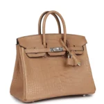 Hermes Birkin 25 Chai Matte Alligator Palladium Hardware - Image 2