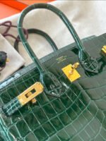 Herm&egrave;s Birkin 25-35 Emerald Bay Crocodile Leather - Image 7