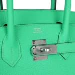 Hermes Birkin 30 Vert Comics Togo Palladium Hardware - Image 7
