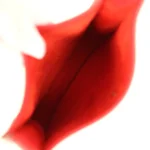 Hermes Evelyne TPM Rouge Radieux Clemence Palladium Hardware - Image 8