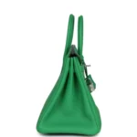 Hermes Birkin 25 Bambou Togo Palladium Hardware - Image 3