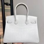 Hermes Birkin 25-30 crocodylus niloticus white - Image 2