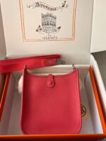 Hermes Evelyn 16-29 Custom-made - Image 2