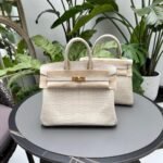Herm&egrave;s Birkin25 Glacier White Matte Block Crocodile customization - Image 5