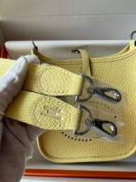 Hermes Evelyn 𝖬𝗂𝗇𝗂 17 Palladium Hardware -Top master - Image 8