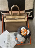 Herm&egrave;s BirKin 25-35 Elephant Grey Silver Buckle Custom - Image 2