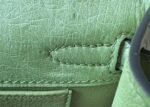 Hermes Kelly1 Mini 22 South African ostrich skin - Image 6