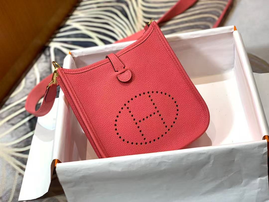 5F9786E6-34E4-1605-00EE-9950C560CF26.jpg Hermes Evelyn 16-29 Custom-made - Image 1