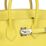 Hermes Birkin 25 Lime Swift Palladium Hardware - Image 7