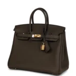 Hermes Birkin 25 Ebene Togo Gold Hardware - Image 5