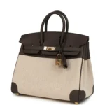 Hermes Birkin 25 Ecru-Beige Toile H Canvas and Ecorce Swift Permabrass Hardware - Image 5