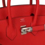 Hermes Birkin 25 Rouge Radieux Togo Palladium Hardware - Image 7