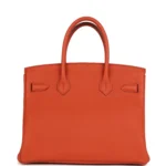 Hermes Birkin 30 Terre Battue Togo Gold Hardware - Image 4