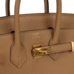 Hermes Birkin 25 Chai Togo Gold Hardware - Image 7