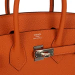 Hermes Birkin 25 Orange Togo Palladium Hardware - Image 7
