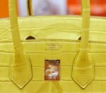 Herm&egrave;s Birkin platinum bag, yellow marigold color, matte crocodile skin, gold buckle, 25-30cm long customization - Image 9