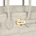 Hermes Birkin 25 Beton Matte Alligator Gold Hardware - Image 7