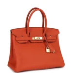 Hermes Birkin 30 Terre Battue Togo Gold Hardware - Image 2