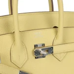 Hermes Birkin 25 Jaune Poussin Togo Palladium Hardware - Image 7