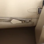 Hermes Birkin 25 Ombre Varanus Salvator Lizard Palladium Hardware - Image 9