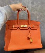 Herm&egrave;s Birkin 25-40 Orange Gold Buckle Custom