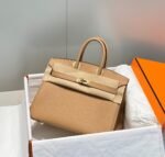 Hermes Birkin 25-35cm custom TOGO customization