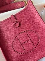 Hermes Evelyn 𝖬𝗂𝗇𝗂 17 Gold Hardware-Top master - Image 3
