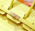 Herm&egrave;s Birkin platinum bag, yellow marigold color, matte crocodile skin, gold buckle, 25-30cm long customization - Image 4