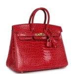 Hermes Birkin 25 Braise Shiny Porosus Crocodile Gold Hardware - Image 2