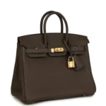 Hermes Birkin 25 Ebene Togo Gold Hardware - Image 2