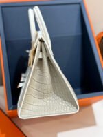 Herm&egrave;s Birkin 20 Silver Buckle Platinum Bag customization - Image 6
