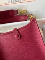 Hermes Evelyn 𝖬𝗂𝗇𝗂 17 Gold Hardware-Top master - Image 6