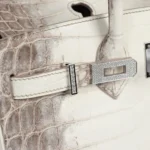 Hermes Birkin 25 Himalaya Niloticus Crocodile Diamond Encrusted Palladium Hardware - Image 8