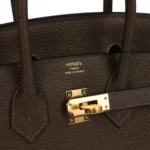 Hermes Birkin 25 Ebene Togo Gold Hardware - Image 7