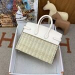 Herm&egrave;s Picnic Sellier Birkin 25 Palladium Hardware customization - Image 4